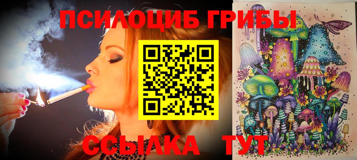 Ковров  Псилоцибиновые грибы Cubensis  Вход с VPN 