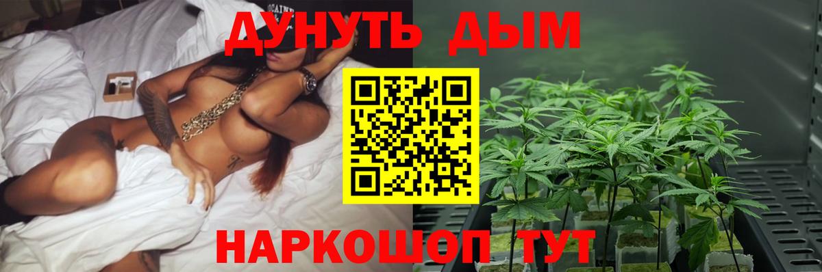 Ковров  Бошки марихуана Amnesia  Вход с VPN  Канабис THC 21%  Бошки Шишки Bruce Banner 